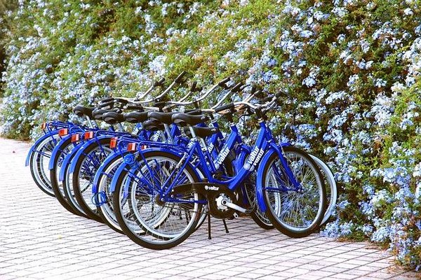 Guide Complet pour l'Achat de Vélos Destinés à la Location : Rentabilité et Conseils Pratiques